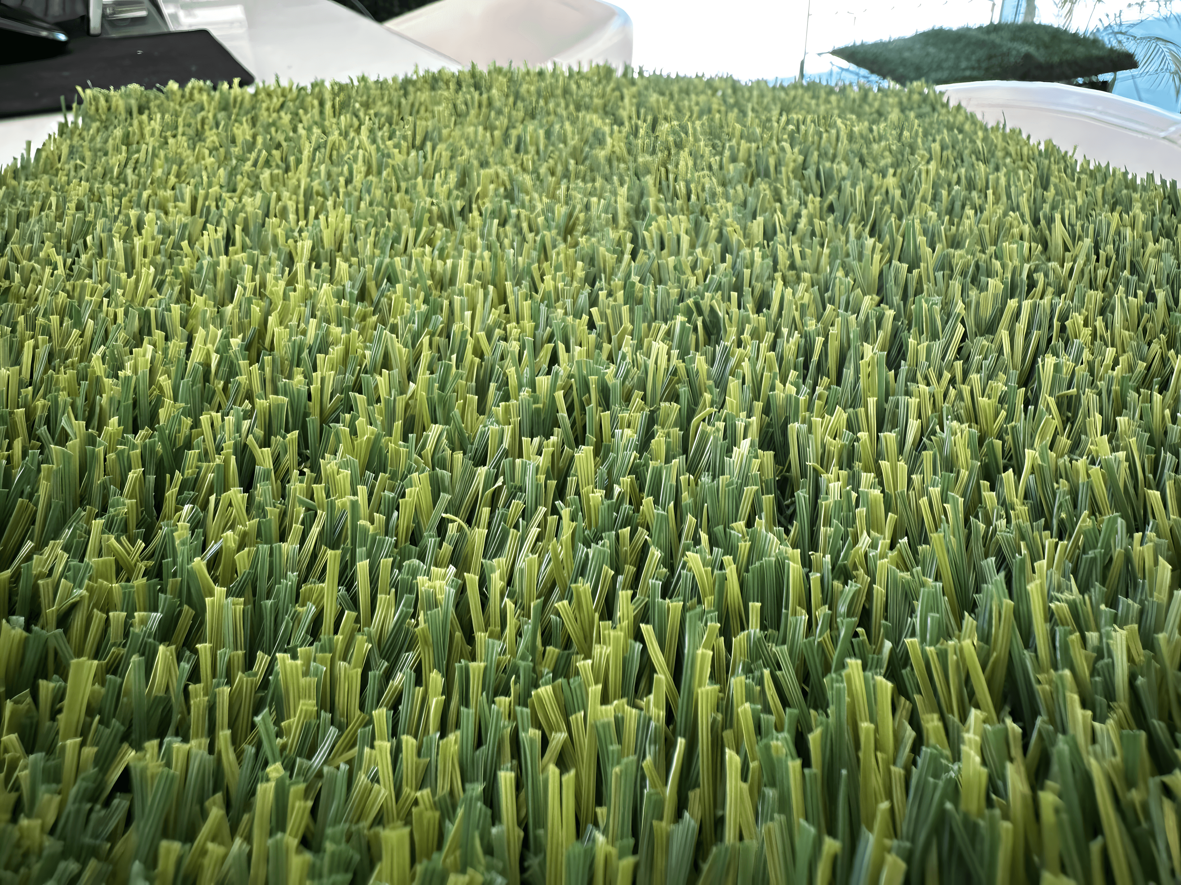 Lush Turf